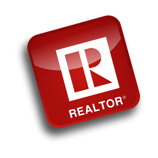 Realtor Icon