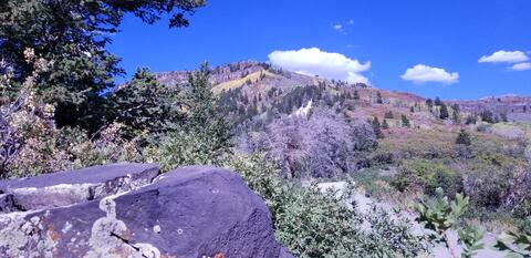 A pic of where we are heading