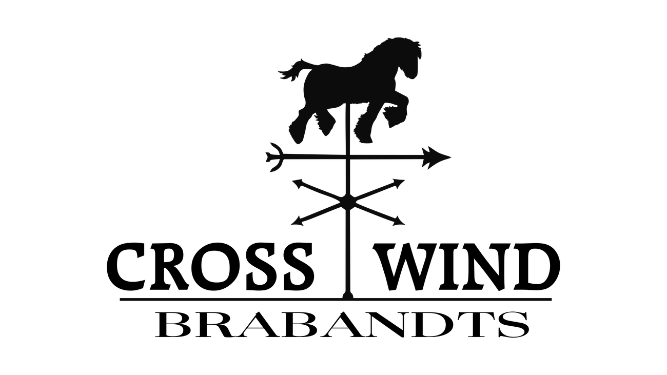 This is the final logo design for Cross Wind Brabants in Cedaredge, Colorado